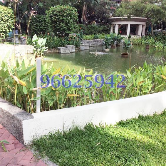 Palm Gardens (D23), Condominium #127918572